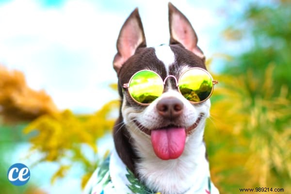 89 Free and Fun Things to Do When Bored: Proven Ways to Beat Boredom