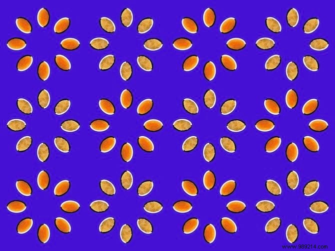 32 Mind-Bending Optical Illusions: Scientifically Explained