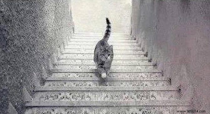 32 Mind-Bending Optical Illusions: Scientifically Explained