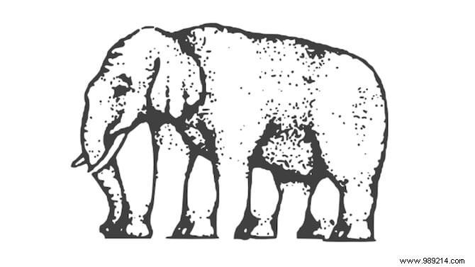 32 Mind-Bending Optical Illusions: Scientifically Explained