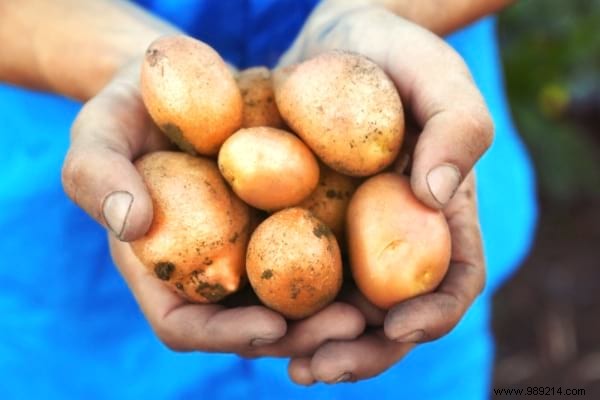 8 Iconic Traditions Celebrated in France That Originated from Advertising Campaigns