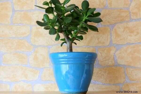 15 Quick Tips to Impress Guests and Seem Super Organized at Home