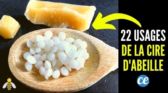 22 Surprising Uses and Benefits of Beeswax Backed by Beekeeper Expertise