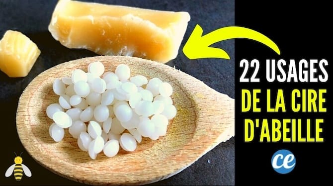 22 Surprising Uses and Benefits of Beeswax Backed by Beekeeper Expertise