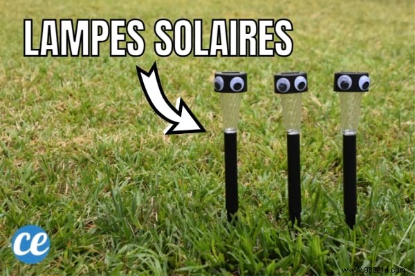 21 Proven Camping Hacks That Cost Pennies or Nothing: Expert Tips from Seasoned Campers