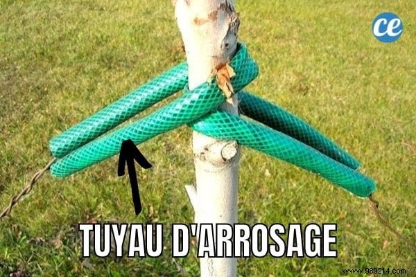 32 Genius Ways to Repurpose Old Garden Hoses: Practical DIY Ideas from a Seasoned Gardener