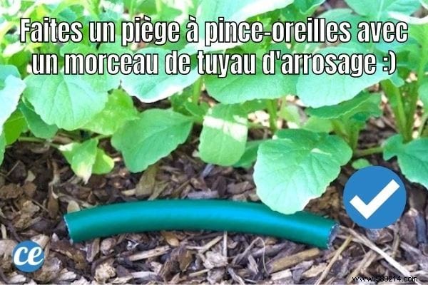 32 Genius Ways to Repurpose Old Garden Hoses: Practical DIY Ideas from a Seasoned Gardener