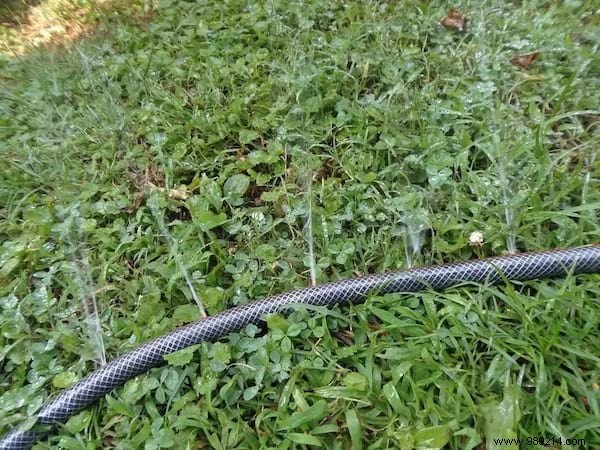 32 Genius Ways to Repurpose Old Garden Hoses: Practical DIY Ideas from a Seasoned Gardener