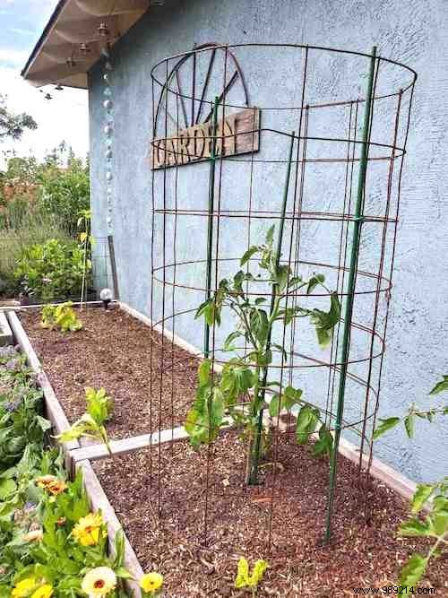 32 Genius Ways to Repurpose Old Garden Hoses: Practical DIY Ideas from a Seasoned Gardener