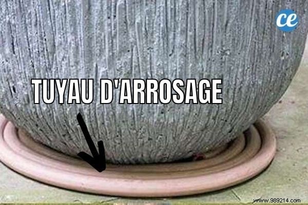 32 Genius Ways to Repurpose Old Garden Hoses: Practical DIY Ideas from a Seasoned Gardener