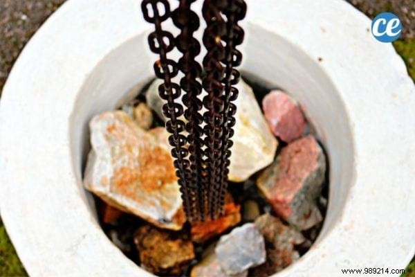 32 Genius Ways to Repurpose Old Garden Hoses: Practical DIY Ideas from a Seasoned Gardener