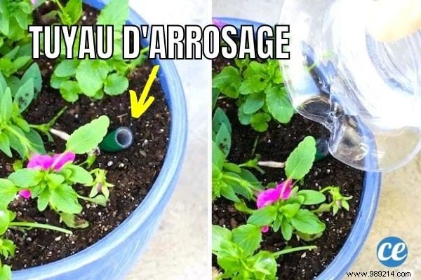 32 Genius Ways to Repurpose Old Garden Hoses: Practical DIY Ideas from a Seasoned Gardener