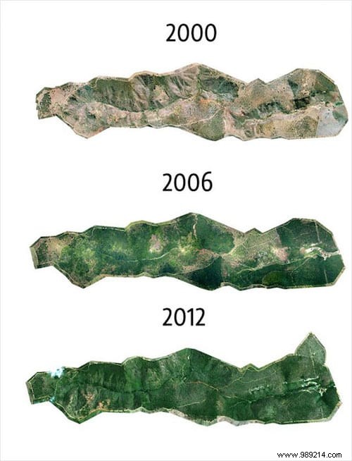 How Sebastião Salgado and Wife Revived a Barren Brazilian Forest by Planting 2 Million Trees in 20 Years