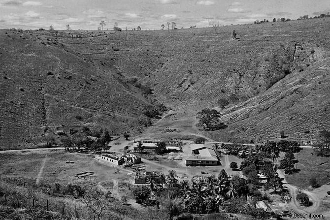 How Sebastião Salgado and Wife Revived a Barren Brazilian Forest by Planting 2 Million Trees in 20 Years