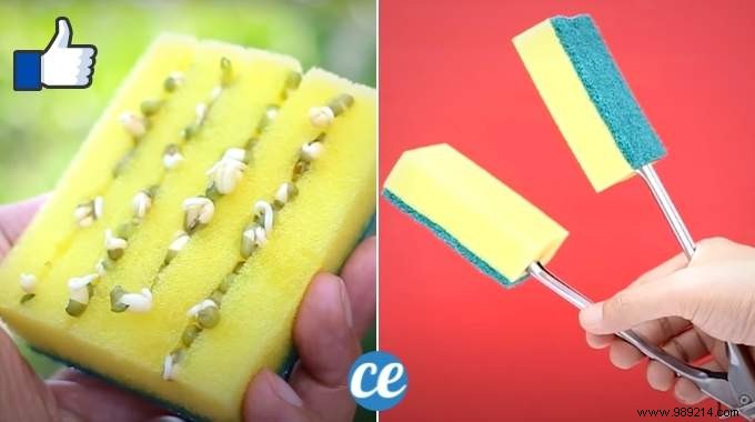 15 Genius Kitchen Sponge Hacks for Cleaning, Crafting, and Everyday Wins