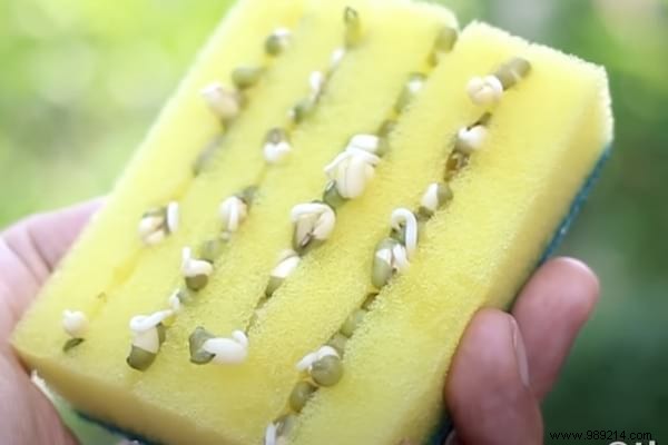 15 Genius Kitchen Sponge Hacks for Cleaning, Crafting, and Everyday Wins
