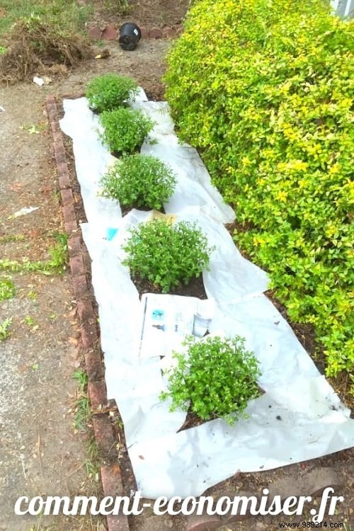 25 Time-Tested Grandma Hacks for Kitchen, Home, and Garden