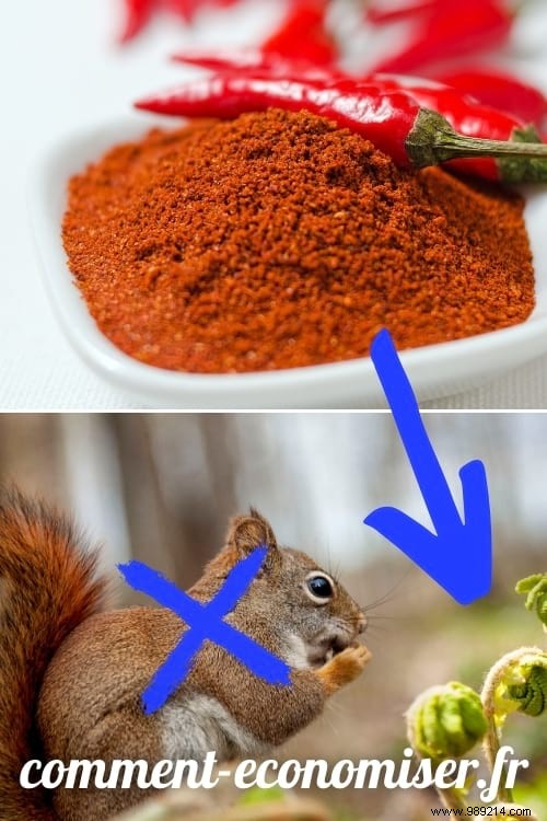 25 Time-Tested Grandma Hacks for Kitchen, Home, and Garden