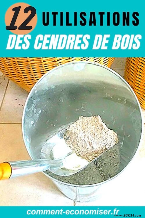 12 Proven Uses for Wood Ash in Gardening and Home Care