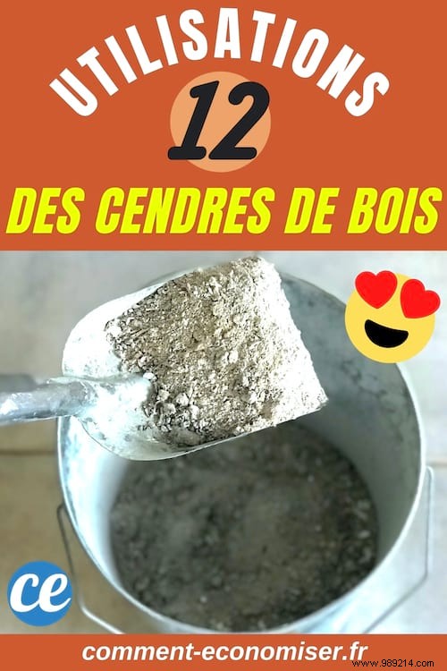 12 Proven Uses for Wood Ash in Gardening and Home Care