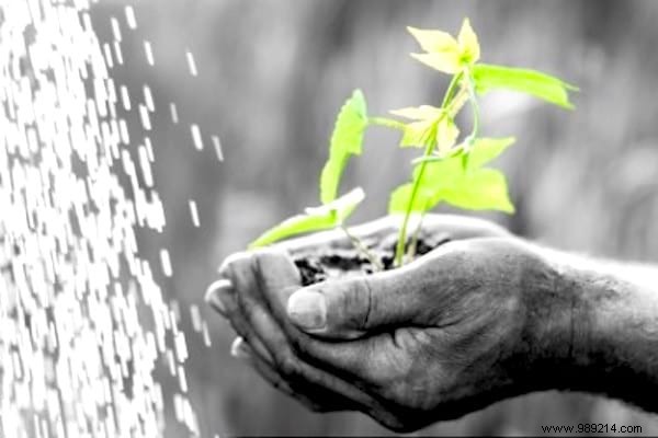 51 Proven Hydrogen Peroxide Uses for Health, Beauty, Cleaning, and Home Care