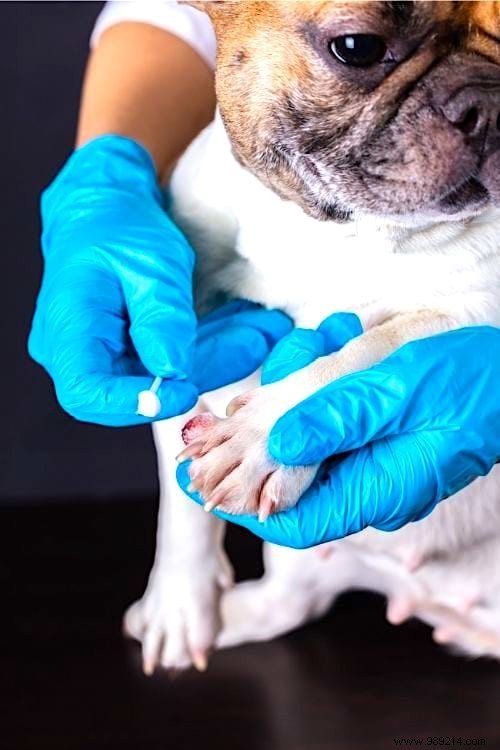 51 Proven Hydrogen Peroxide Uses for Health, Beauty, Cleaning, and Home Care