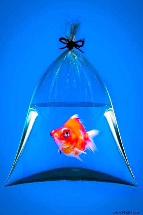 51 Proven Hydrogen Peroxide Uses for Health, Beauty, Cleaning, and Home Care