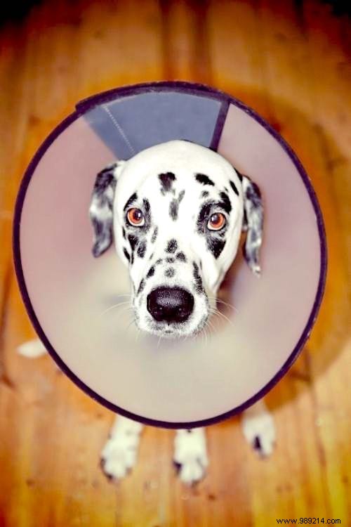 51 Proven Hydrogen Peroxide Uses for Health, Beauty, Cleaning, and Home Care