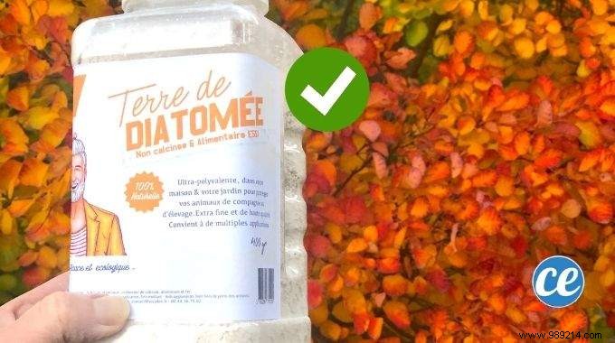 20 Proven Uses for Diatomaceous Earth: Natural Pest Control, Cleaning, Gardening, and Health Benefits