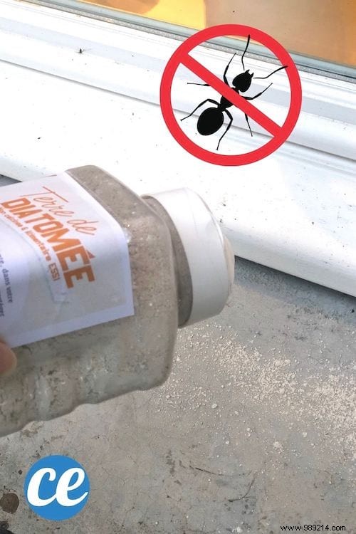 20 Proven Uses for Diatomaceous Earth: Natural Pest Control, Cleaning, Gardening, and Health Benefits