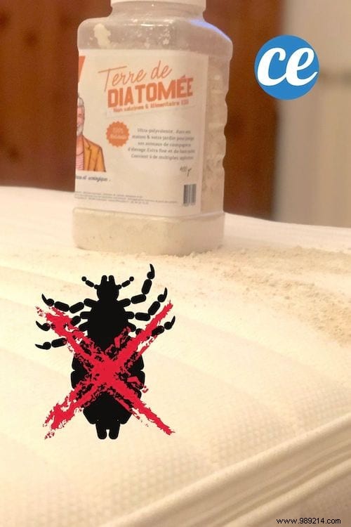 20 Proven Uses for Diatomaceous Earth: Natural Pest Control, Cleaning, Gardening, and Health Benefits