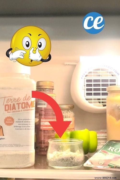 20 Proven Uses for Diatomaceous Earth: Natural Pest Control, Cleaning, Gardening, and Health Benefits