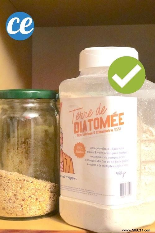 20 Proven Uses for Diatomaceous Earth: Natural Pest Control, Cleaning, Gardening, and Health Benefits