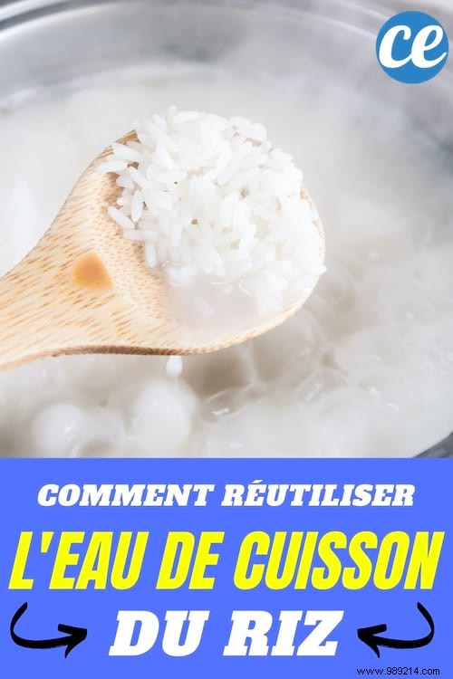 Unlock the Nutritional Gold in Cooking Water: Proven Ways to Reuse It Wisely