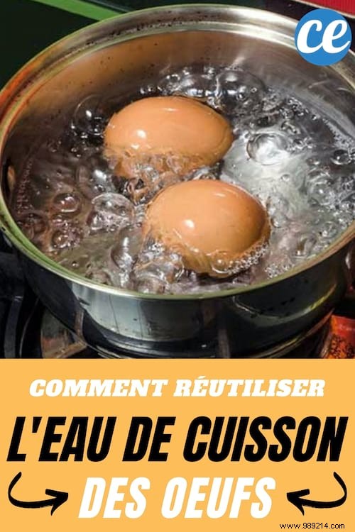 Unlock the Nutritional Gold in Cooking Water: Proven Ways to Reuse It Wisely