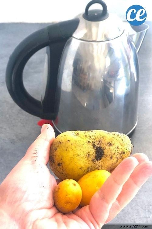 12 Clever Ways to Use Your Electric Kettle Beyond Hot Drinks