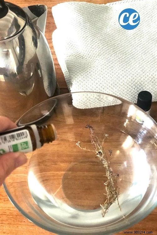 12 Clever Ways to Use Your Electric Kettle Beyond Hot Drinks