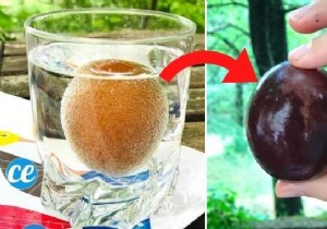 How to Turn a Raw Egg into a Bouncy Ball: Easy Science Experiment for Kids