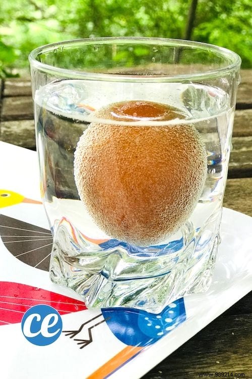 How to Turn a Raw Egg into a Bouncy Ball: Easy Science Experiment for Kids