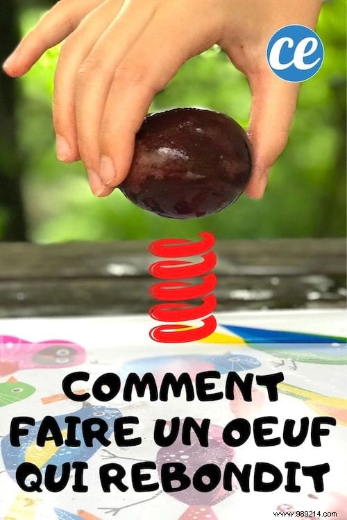 How to Turn a Raw Egg into a Bouncy Ball: Easy Science Experiment for Kids