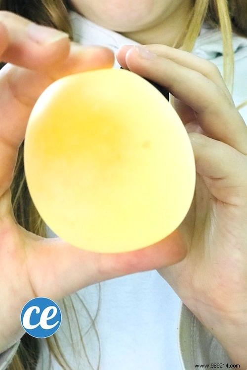 How to Turn a Raw Egg into a Bouncy Ball: Easy Science Experiment for Kids