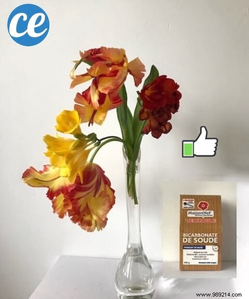 5 Proven Baking Soda Hacks for Everyday Home Cleaning and Care