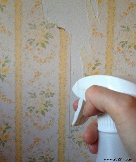 20 Proven White Vinegar Uses: Expert Cleaning Hacks for Home, Garden, and Beauty