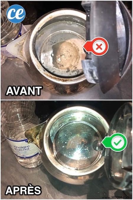 20 Proven White Vinegar Uses: Expert Cleaning Hacks for Home, Garden, and Beauty