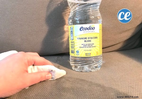 20 Proven White Vinegar Uses: Expert Cleaning Hacks for Home, Garden, and Beauty