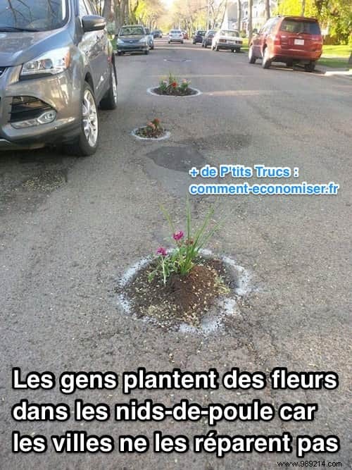 Frustrated by Unfixed Potholes? This Community Plants Flowers Instead