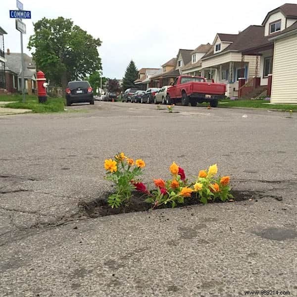 Frustrated by Unfixed Potholes? This Community Plants Flowers Instead