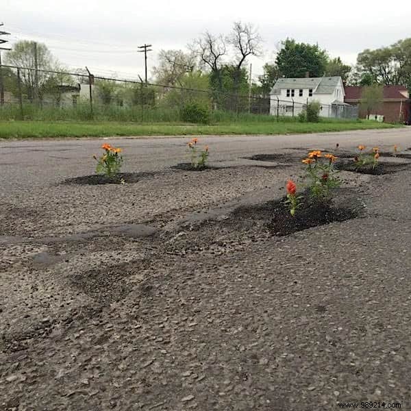 Frustrated by Unfixed Potholes? This Community Plants Flowers Instead