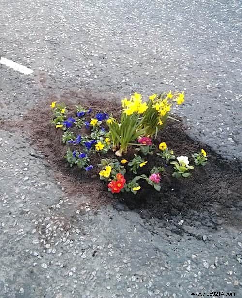 Frustrated by Unfixed Potholes? This Community Plants Flowers Instead