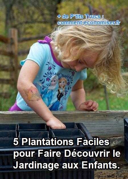 5 Proven Planting Projects to Spark Kids  Love for Gardening (Tested Ages 4+)
